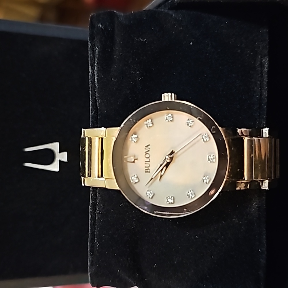 Bulova Futura Watch